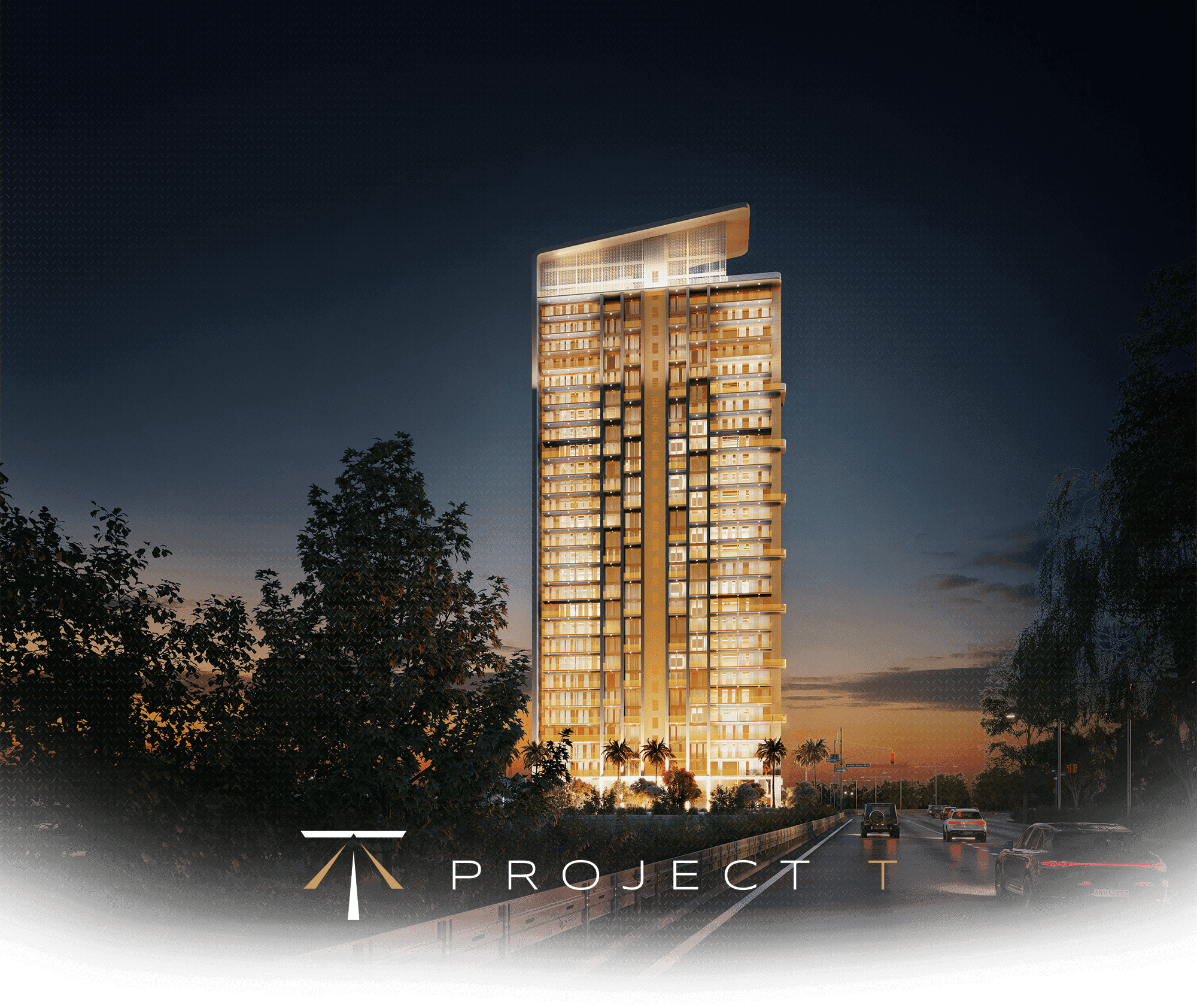 Project T